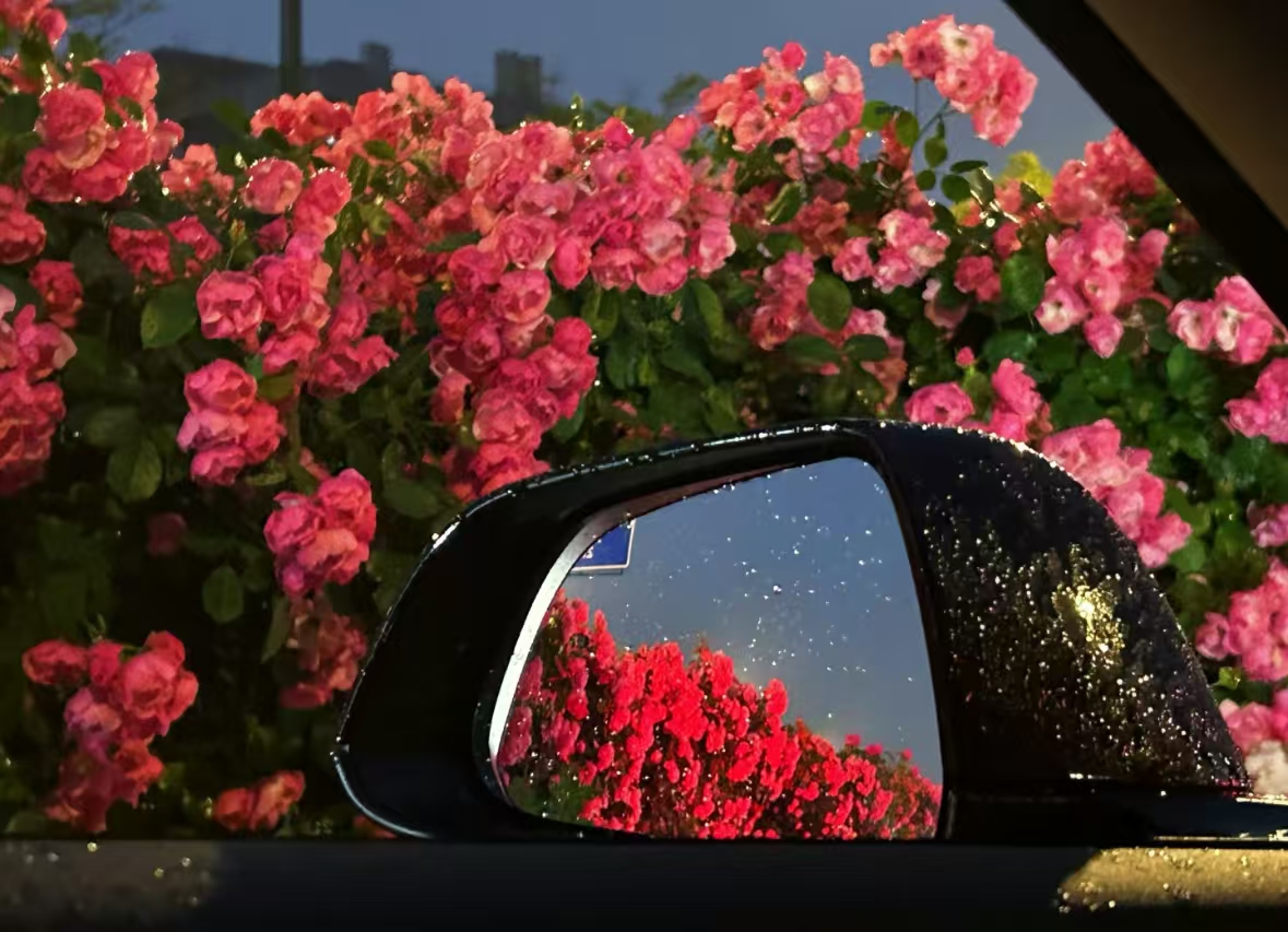 636b3c3225830442d5e6fe5171c2426